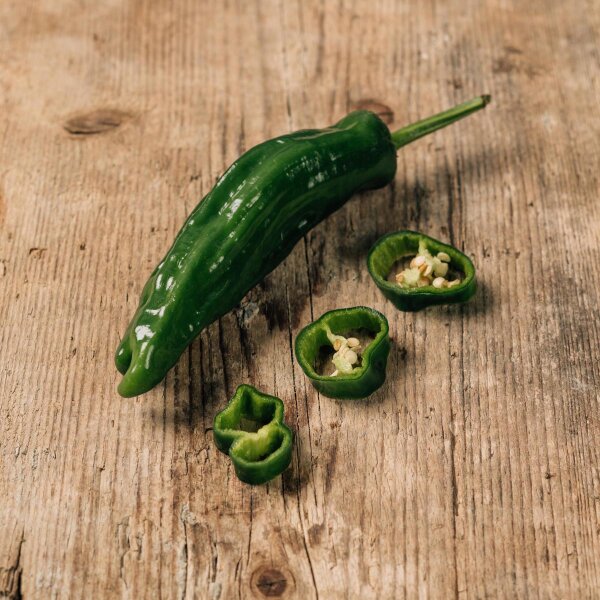 Bratpaprika Pimientos de Padrón (Capsicum annuum) Samen