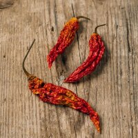 Bhut Jolokia Chili (Capsicum chinense) Samen