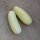 Weisse Gurke White Wonder (Cucumis sativus) Samen