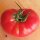 Tomate Berner Rose (Solanum lycopersicum) Samen