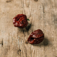 Chili Trinidad Scorpion Chocolate (Capsicum chinense) Samen