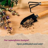 Bunte Sommerblumen (Bio) - Samen-Geschenkset