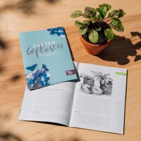 Das wilde Garteneck (Bio) - Samen-Geschenkset